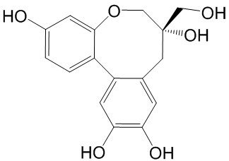 原苏木素B