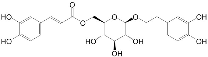 木通苯乙醇苷B