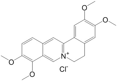 盐酸巴马汀;黄藤素