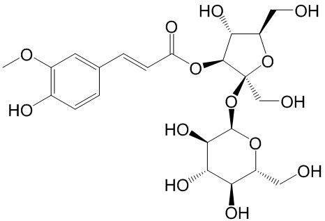 西伯利亚远志糖A5