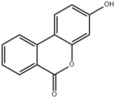 尿石素B