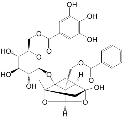 没食子酰芍药苷