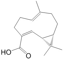 Volvalerenic acid A