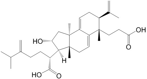 茯苓新酸A