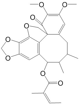 异南五味子丁素