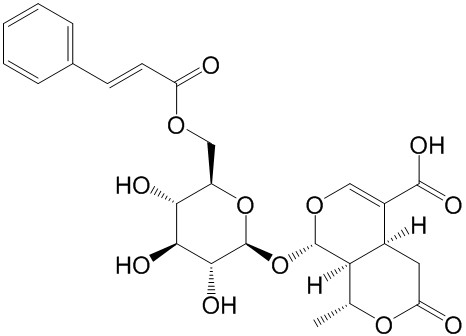 6'-O-肉桂酰基-8-表金吉甘酸