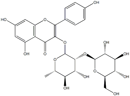 山柰酚-3-O-β-D-葡萄糖基（1-2）-α-L-鼠李糖苷