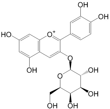 矢车菊素-3-O-半乳糖苷