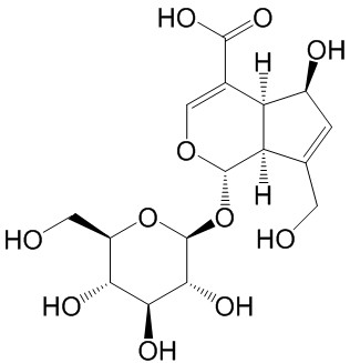 去乙酰基车叶草苷酸