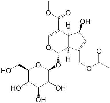 车叶草苷酸甲酯
