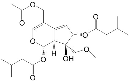 Valeriandoid F