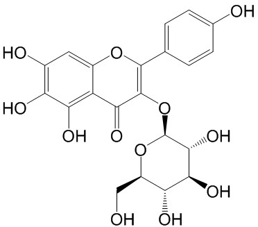 6-羟基山柰酚-3-O-β-D-葡萄糖苷