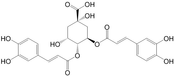 异绿原酸B（3,4-二-O-咖啡酰奎宁酸）