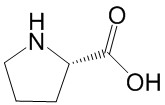 L-脯氨酸