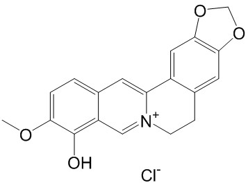 小檗红碱