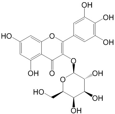 杨梅素-3-O-半乳糖苷