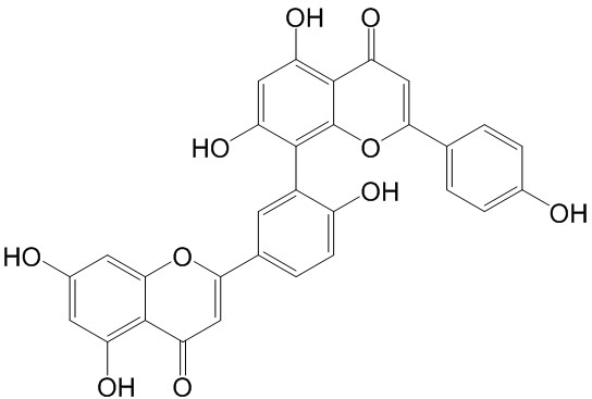 穗花杉双黄酮