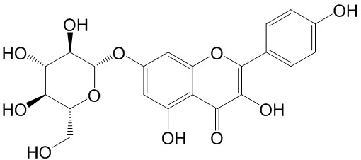 山奈酚-7-O-葡萄糖苷