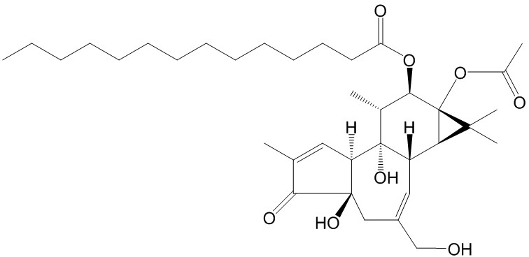 佛波醇12-十四酸酯13-乙酸酯