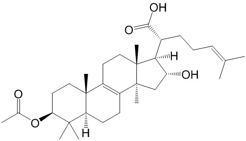 3-O-乙酰基-16α-羟基-氢化松苓酸