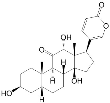 伪异沙蟾毒精