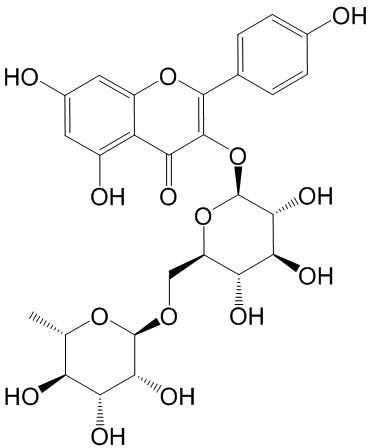 山柰酚-3-O-芸香糖苷