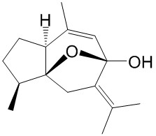 莪术烯醇