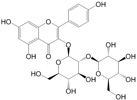 山柰酚-3-O-槐糖苷