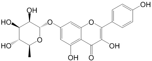 山柰酚-7-O-α-L-鼠李糖苷