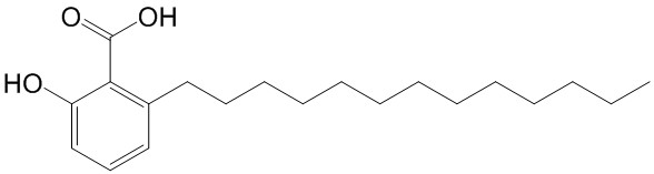 白果新酸