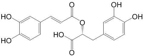 迷迭香酸