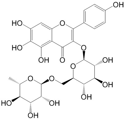 6-羟基山柰酚-3-O-芸香糖苷