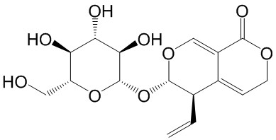 龙胆苦苷（标定）