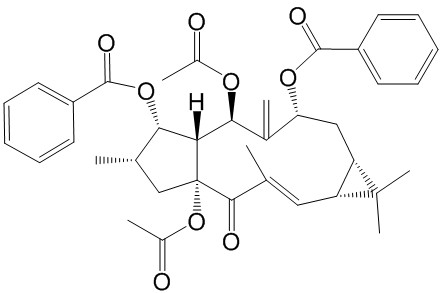 千金子素L2