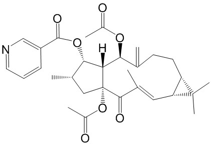 千金子素L8