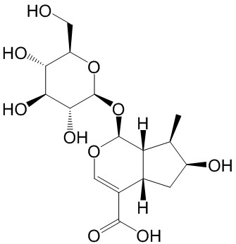 马钱苷酸（标定）