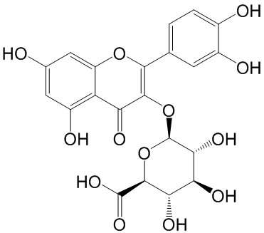 槲皮素-3-O-β-D-吡喃葡糖苷酸