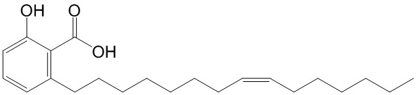 银杏酚酸（15:1）