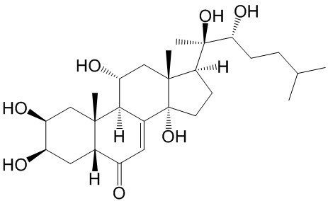 筋骨草甾酮C