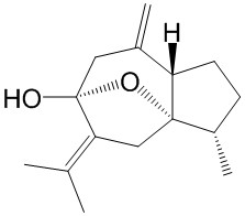 异莪术烯醇