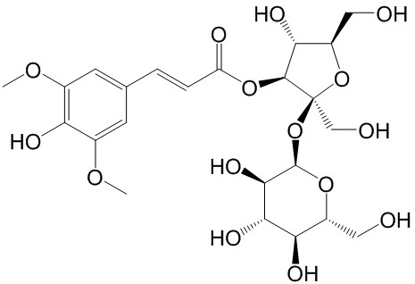 西伯利亚远志糖A6