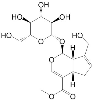 栀子苷（标定）