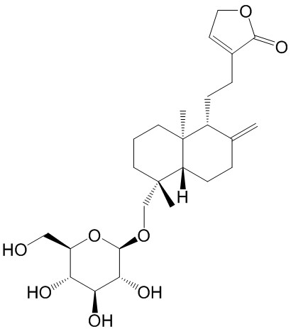 新穿心莲内酯