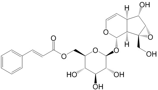 胡黄连苷I（标定）