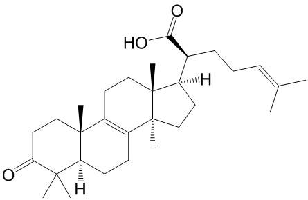 β-榄香酮酸