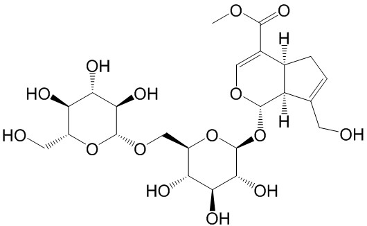 京尼平龙胆双糖苷