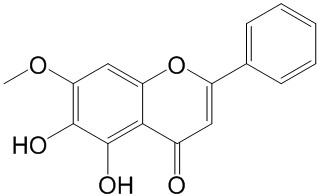 黄芩素-7-甲醚