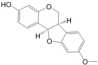 美迪紫檀素