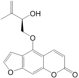 潘当归素