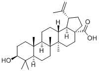 表白桦脂酸